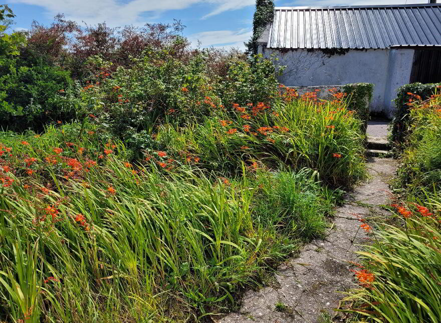 Kilmackerrin East Aughatubrid, Caherciveen, V23X440