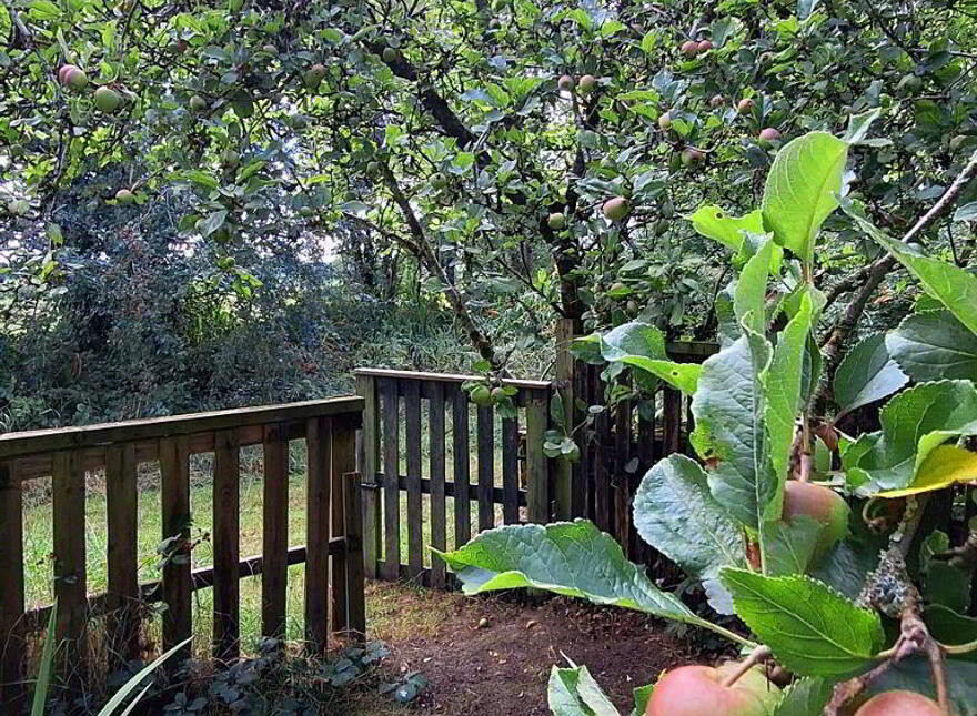 Rose Cottage, Ballincurry