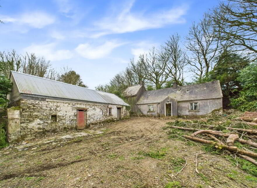 Cooleacarra, Curreeney, Kilcommon, E41HE92 photo