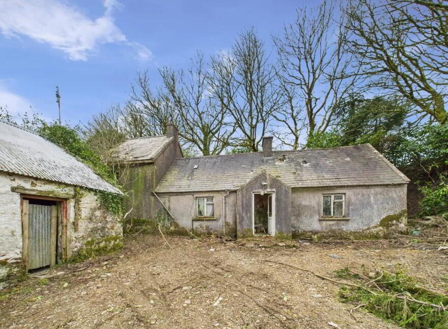 Cooleacarra, Curreeney, Kilcommon, E41HE92