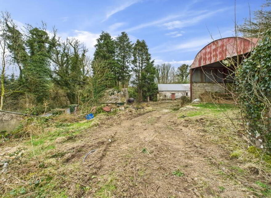 Cooleacarra, Curreeney, Kilcommon, E41HE92