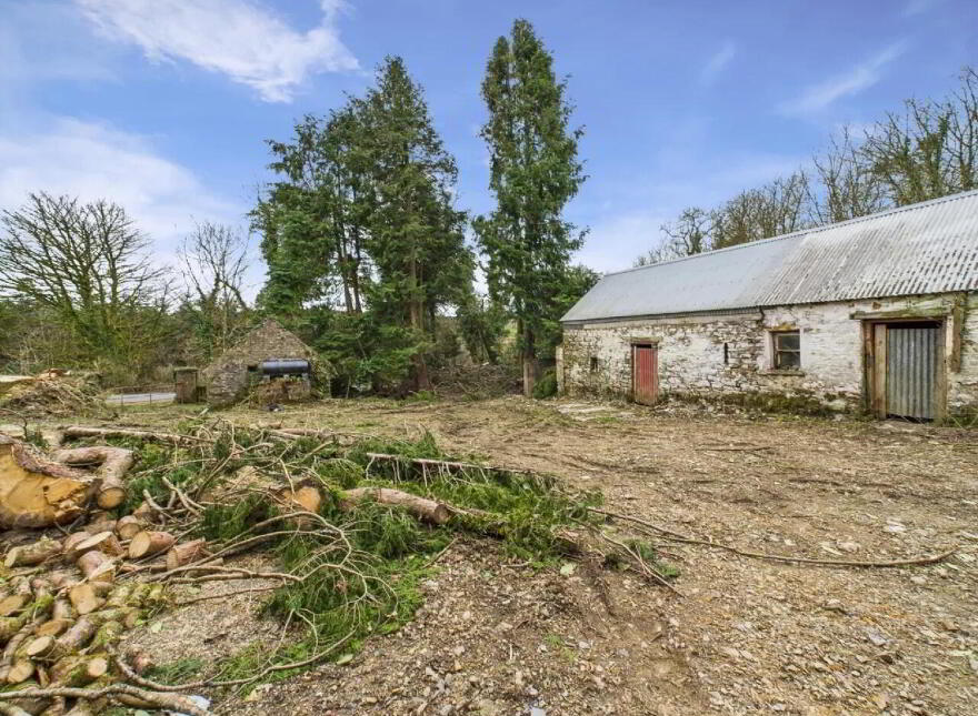 Cooleacarra, Curreeney, Kilcommon, E41HE92