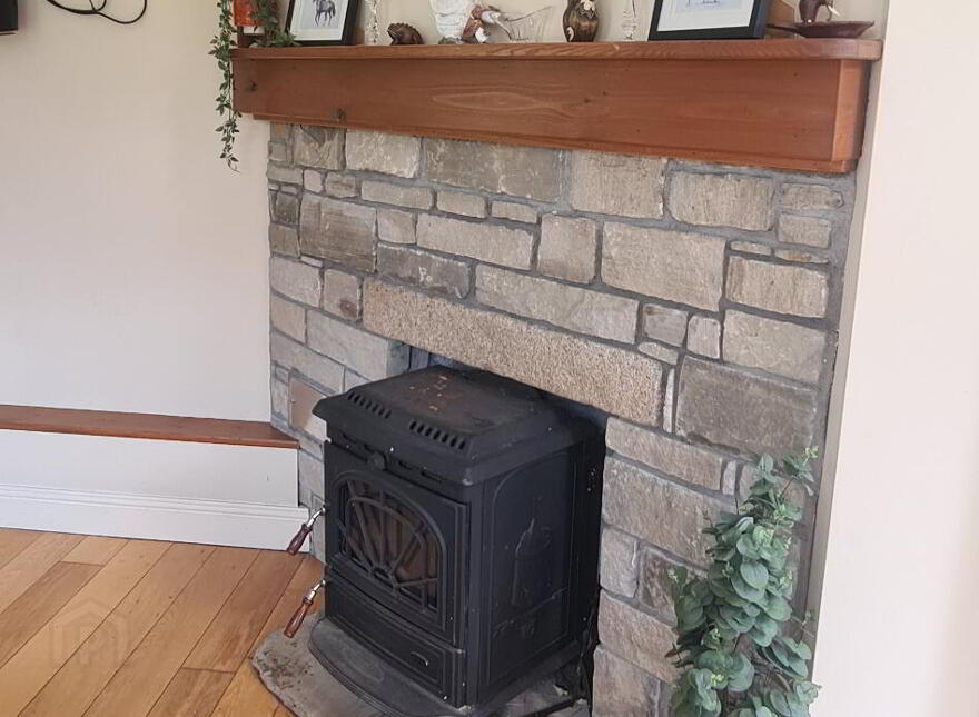 Mahanagh, Drumshanbo, Carrick-On-Shannon, N41PF83
