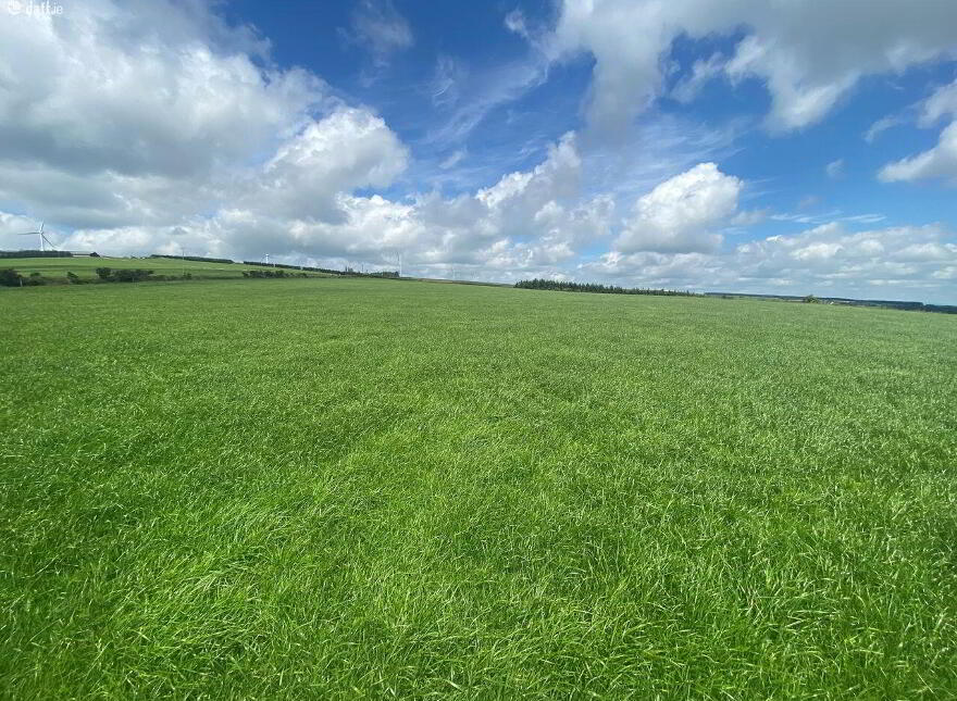 Meenachoney, Donoughmore photo