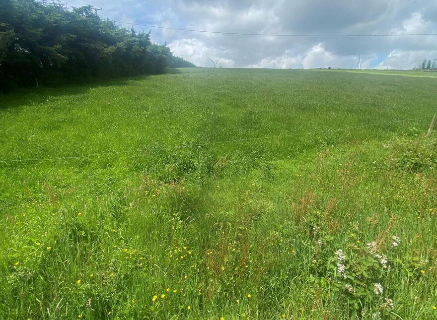 Meenachoney, Donoughmore