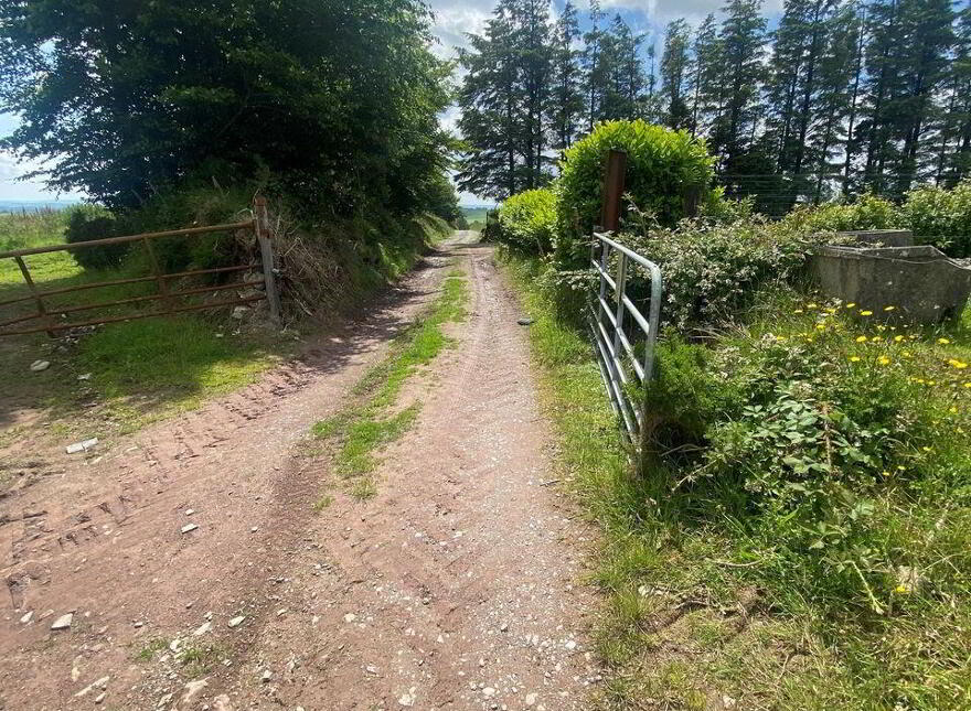 Meenachoney, Donoughmore