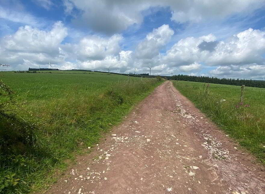Meenachoney, Donoughmore