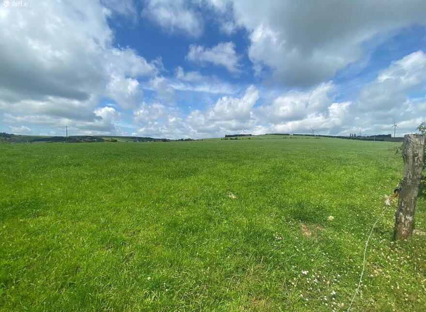 Meenachoney, Donoughmore