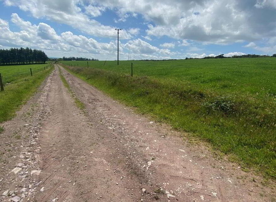 Meenachoney, Donoughmore