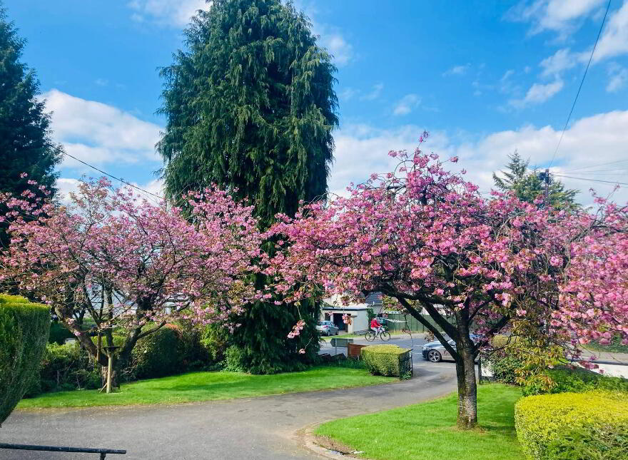 53 Molesworth Road, Cookstown, BT80 8NU