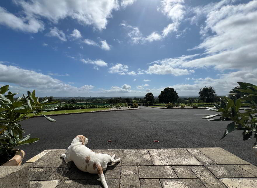 36b Dirnan Road, Cookstown, BT80 9XL