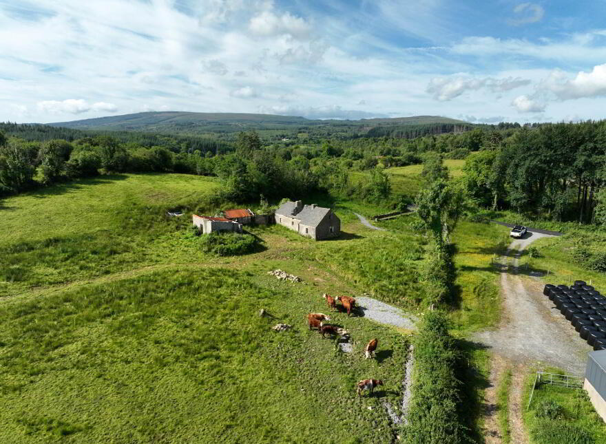 Gubmanus Road, Gubmanus, Rossinver