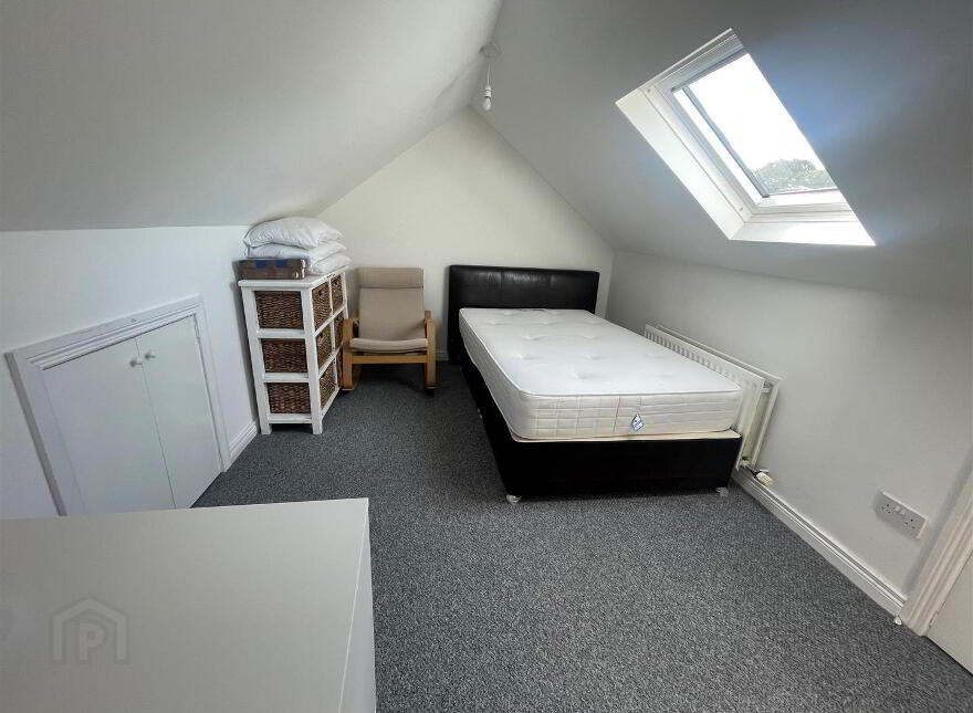 23 Harleston Street, Belfast, BT9 5FS