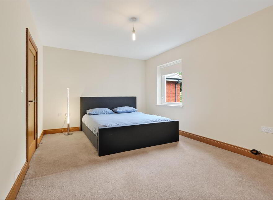 43 Bristow Park, Belfast, BT9 6TG