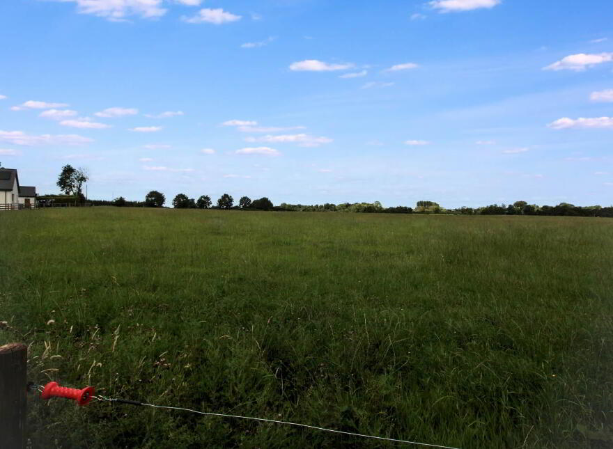 Ballygraigue, Nenagh photo