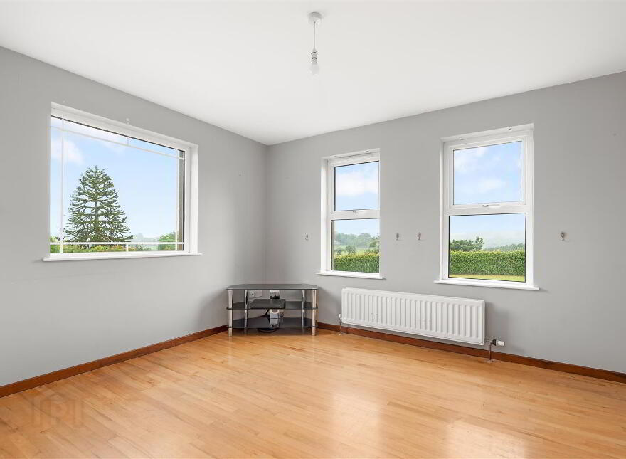 99 Demesne Road, Ballynahinch, BT24 8NS