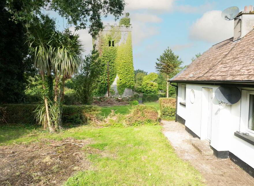 Castleview, Ballinagarde, Ballyneety, V94W9TV photo