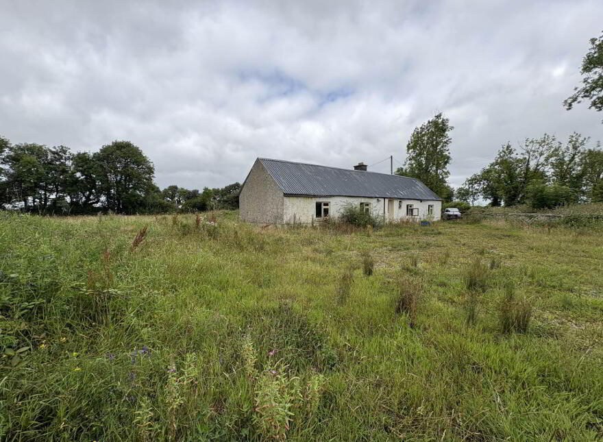 Gardenfield, Dromcolliher, P56TK61