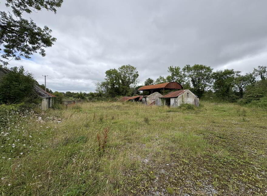 Gardenfield, Dromcolliher, P56TK61