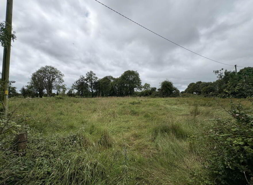 Gardenfield, Dromcolliher, P56TK61