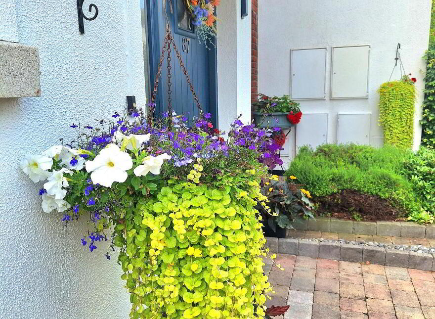87 Drumaconn, Cornamaddy, Athlone, N37N6K8