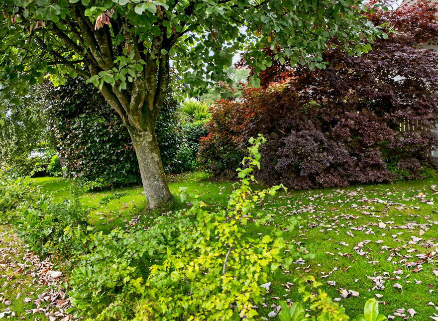 19 Woodlands, Broughshane, Ballymena, BT43 7NT