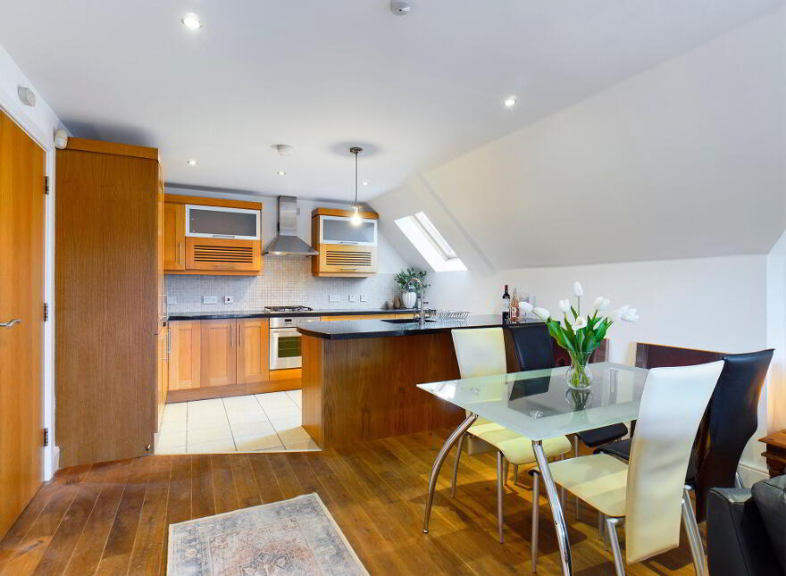 Apt 13, 1 Deramore Park South, Belfast, BT9 5JJ