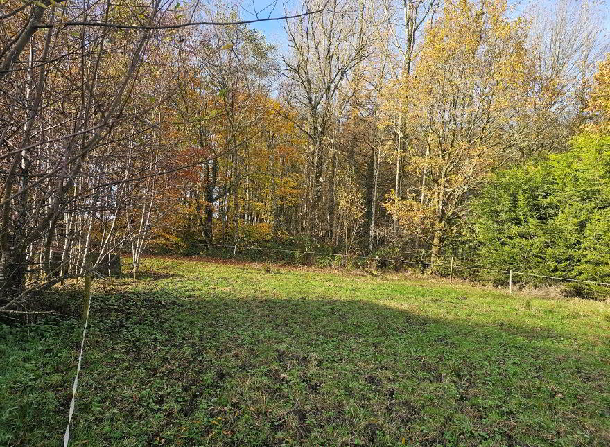 Drumeela, Carrigallen, H12ET97
