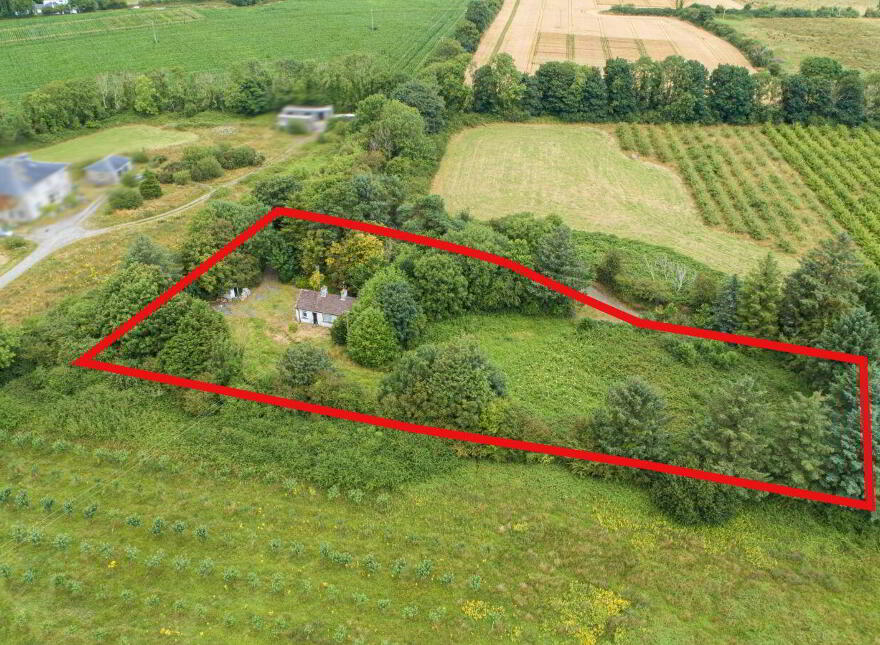 Willow Cottage, Ballinaboola, Halfwayhouse, Cross, Waterford photo