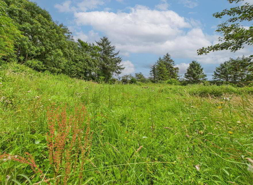 Willow Cottage, Ballinaboola, Halfwayhouse, Cross, Waterford
