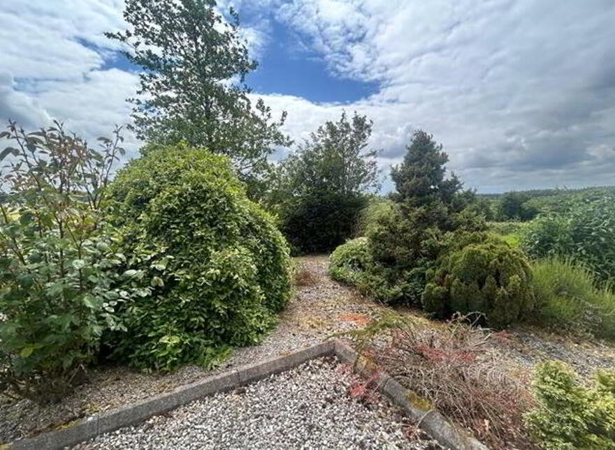 Cloontowart, Lisacul, Roscommon, F45E718
