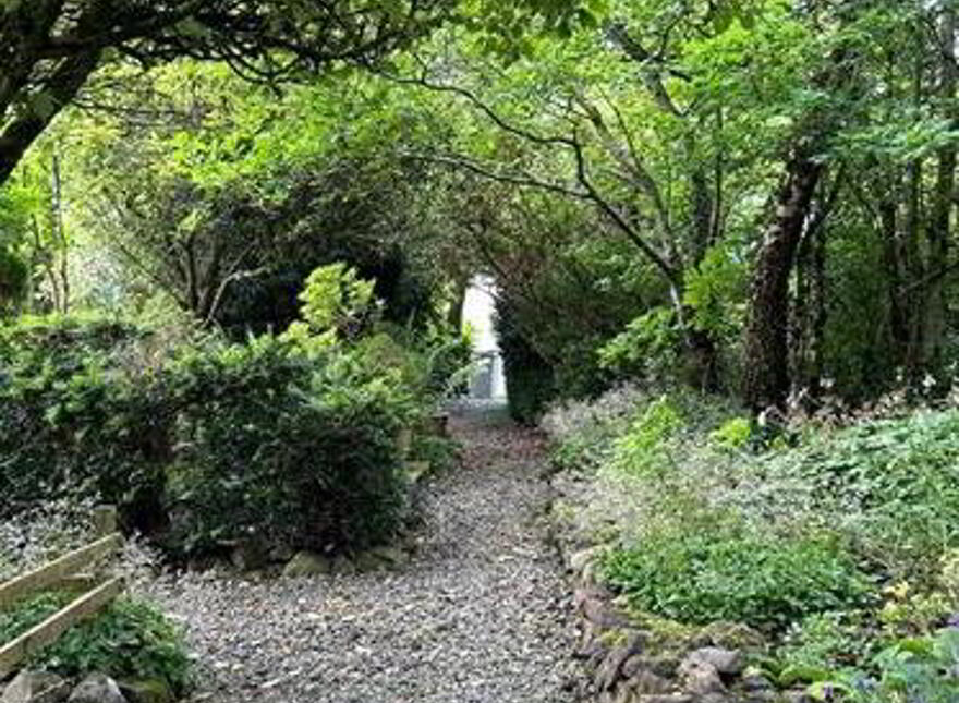 Cloontowart, Lisacul, Roscommon, F45E718
