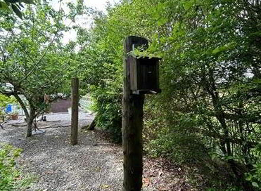 Cloontowart, Lisacul, Roscommon, F45E718