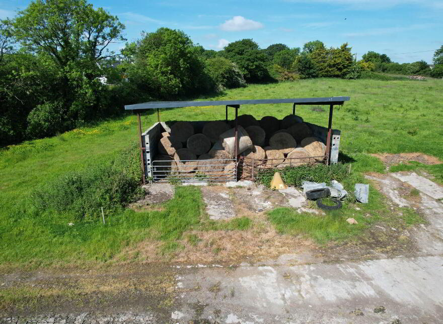 Ballyguile & Ballynoe, Castletown, Kilmallock