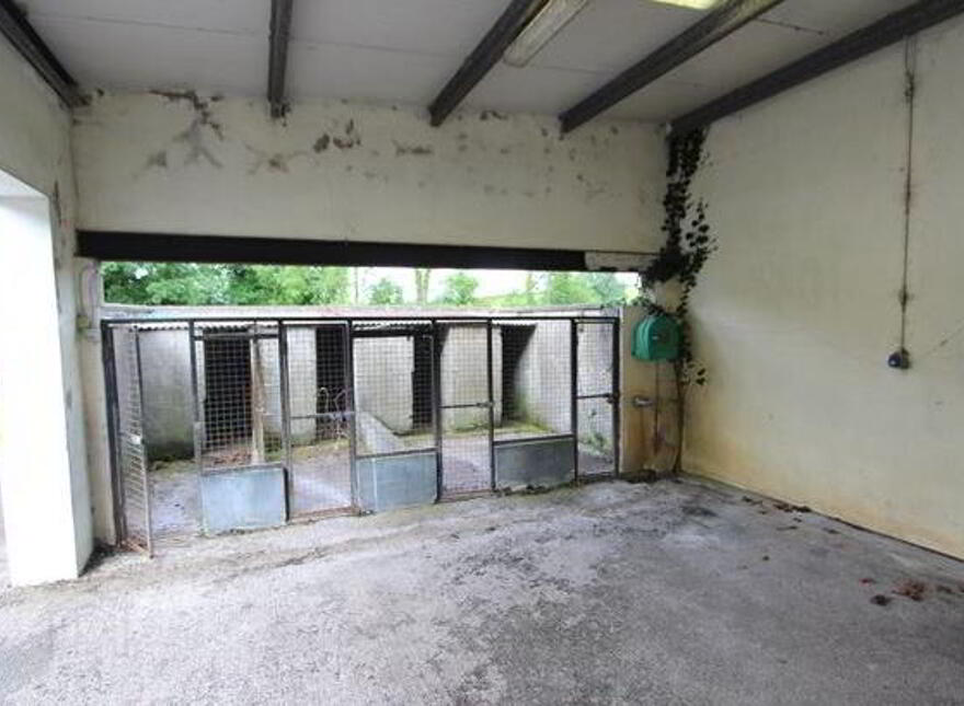 Carson, Dartrey, Rockcorry, Monaghan, H16NT38