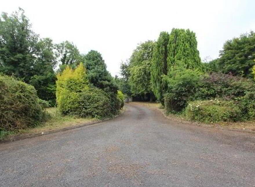 Carson, Dartrey, Rockcorry, Monaghan, H16NT38