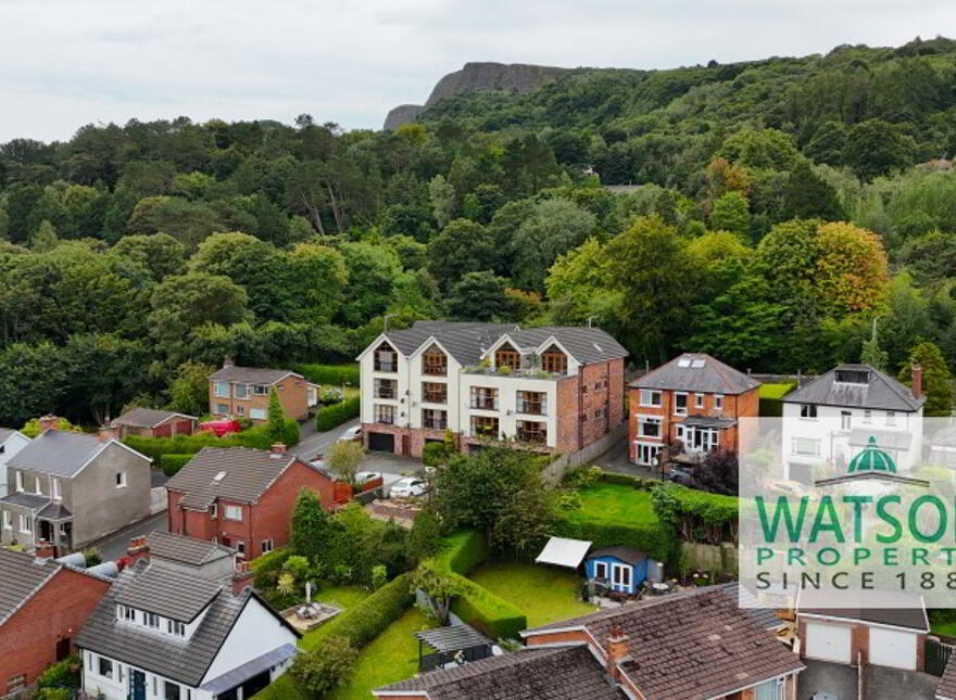 Apartment 4, 55 Antrim Road, Newtownabbey, Belfast, BT36 7PS photo
