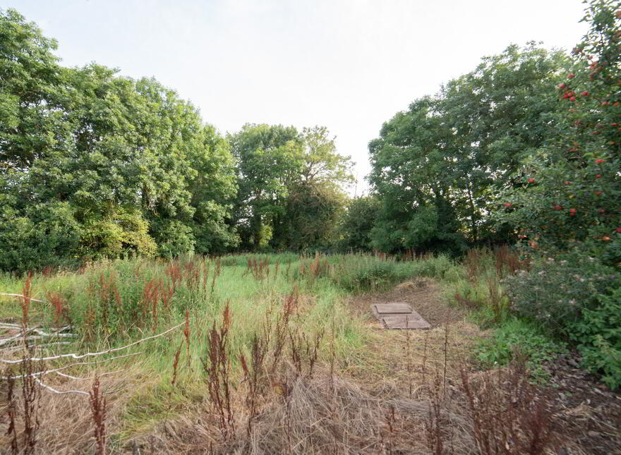 Lagg, Doneraile, Co Cork, P51V186
