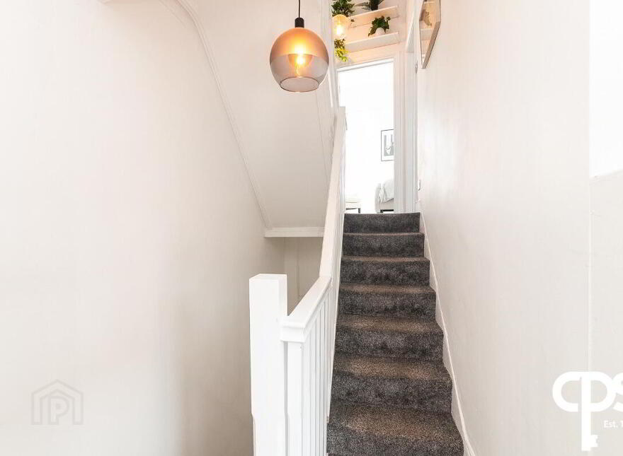 21 Cranburn Street, Belfast, BT14 6BB