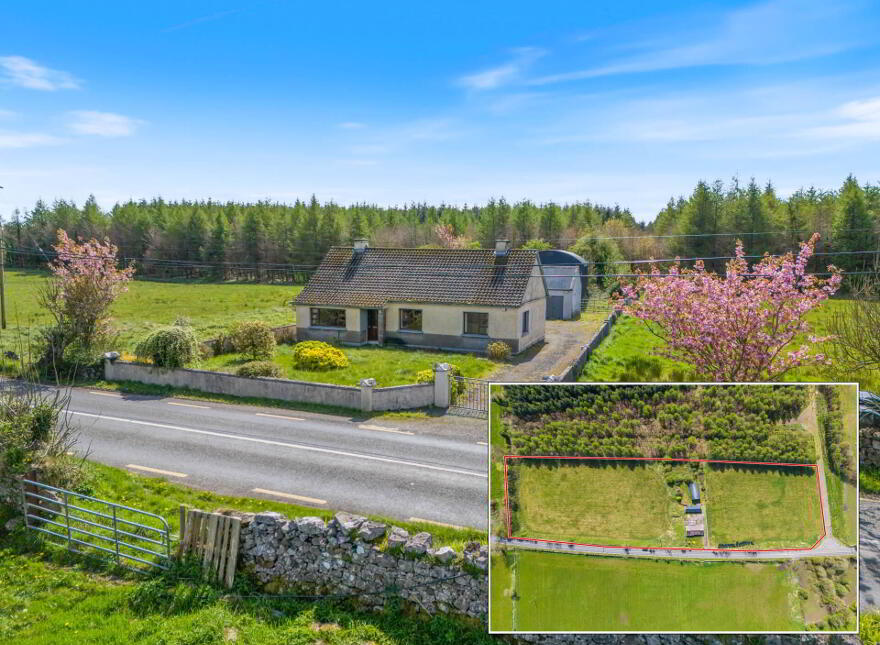 Blindwell, Cloghans Hill, Tuam, H54DP20 photo