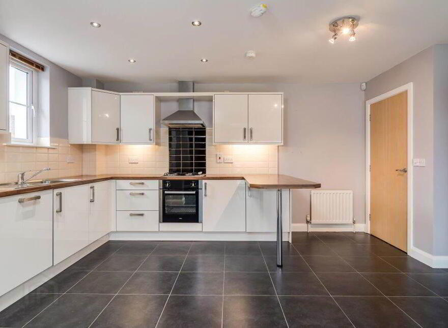 9 Holstein Crescent, Lisburn, BT28 2RS