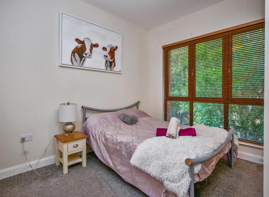 20 Halcombe Street, Woodstock Road, Belfast, BT6 8BE