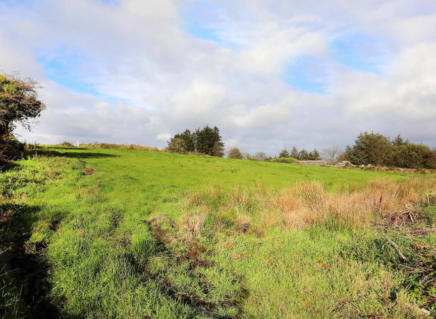 C. 12.5 Acres & Derelict Cottage, Curryane, Swinford,Mayo