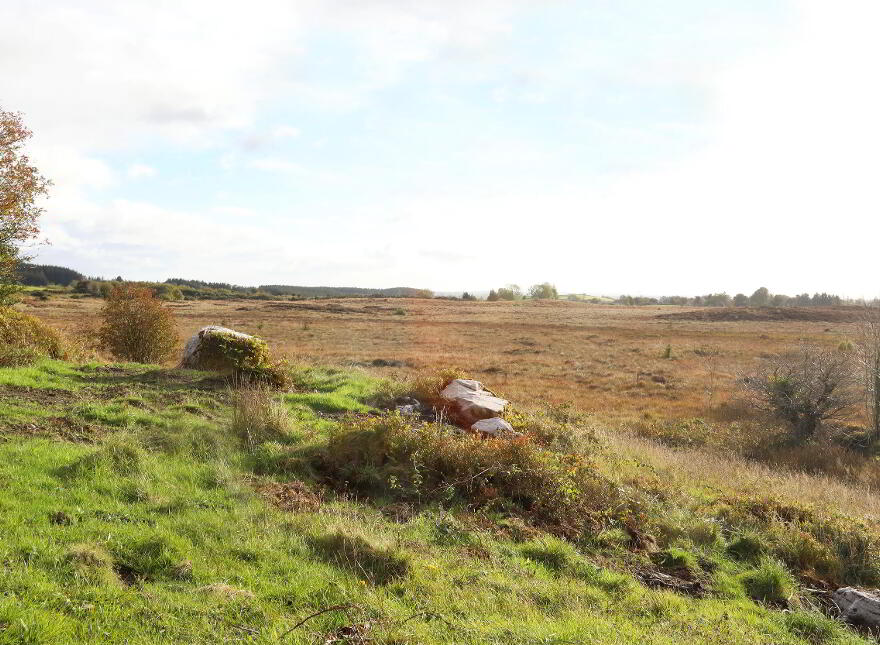 C. 12.5 Acres & Derelict Cottage, Curryane, Swinford,Mayo