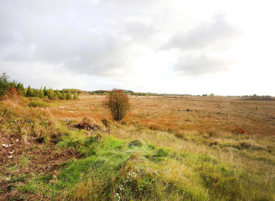 C. 12.5 Acres & Derelict Cottage, Curryane, Swinford,Mayo
