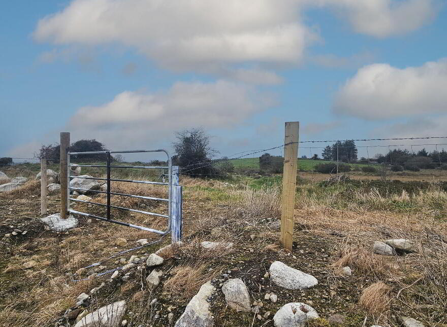 C. 12.5 Acres & Derelict Cottage, Curryane, Swinford