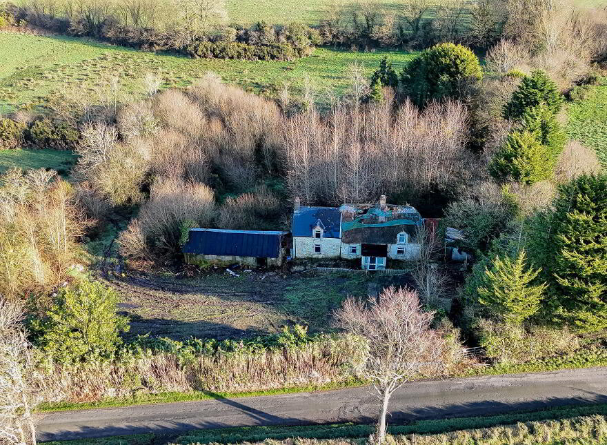 Ballinaslaney, Oylegate, Y21P718 photo