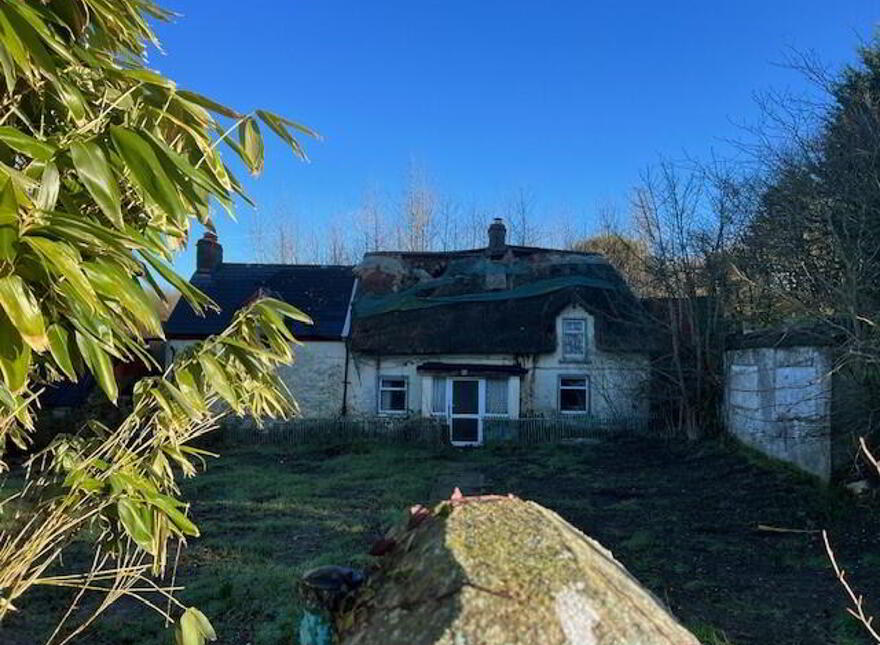 Ballinaslaney, Oylegate, Y21P718