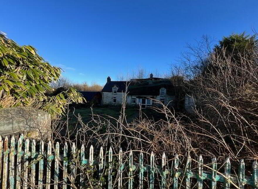 Ballinaslaney, Oylegate, Y21P718
