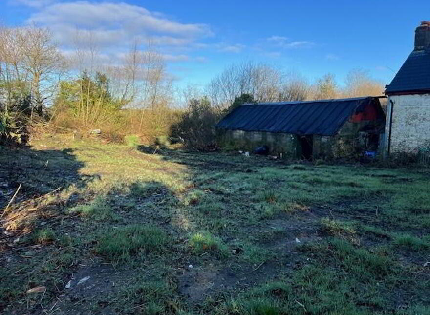 Ballinaslaney, Oylegate, Y21P718